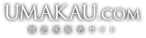 UMAKAU.com 競走馬販売サイト