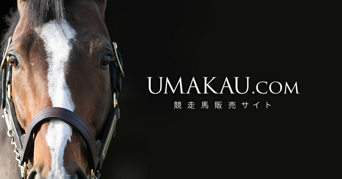 ノリタケ　競走馬跳馬 競馬】シンダー Sinndar【No 220】 - YouTube